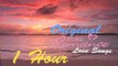 Love songs and love music with beautiful ocean and romantic music instrumental video (musica romantica playlist)
