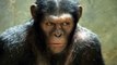 742 Watch Dawn of the Planet of the Apes Full Movie Streaming Online Free 2014