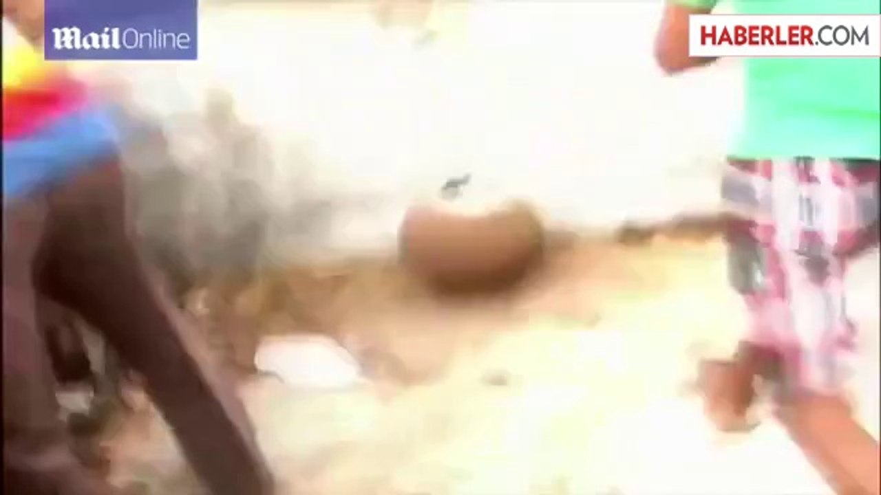 Kamuflaj Ustası Leoparlar Şaşırtıyor