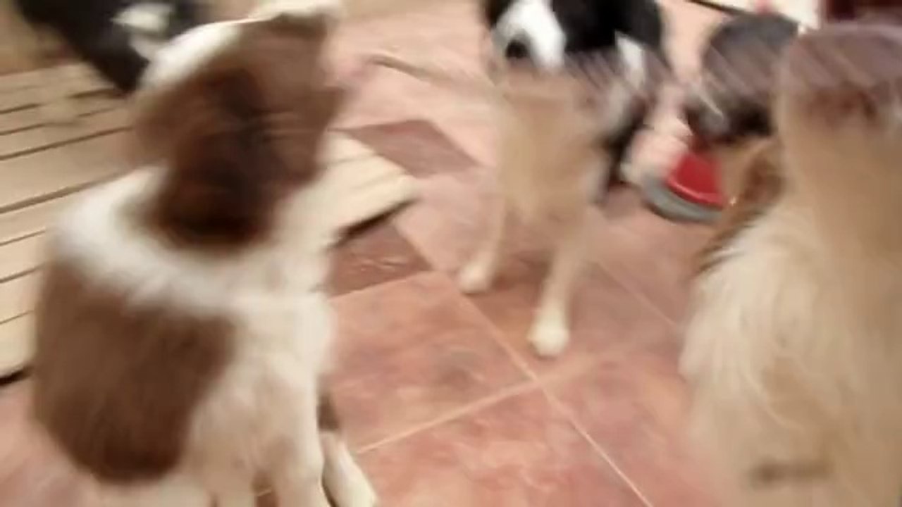 Gabi y el tira y afloja....