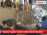 Tedavisi Yapılan Caretta Caretta Denize Bırakıldı