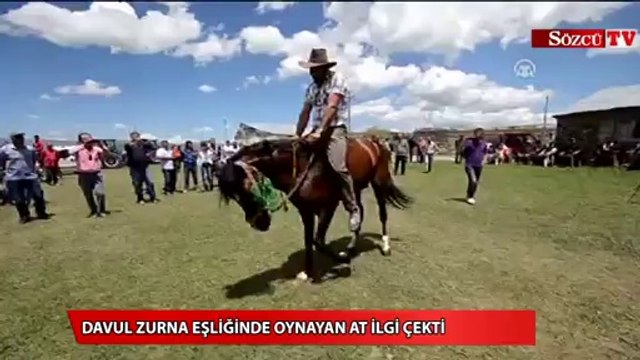 Davul zurna eşliğinde oynayan at ilgi çekti