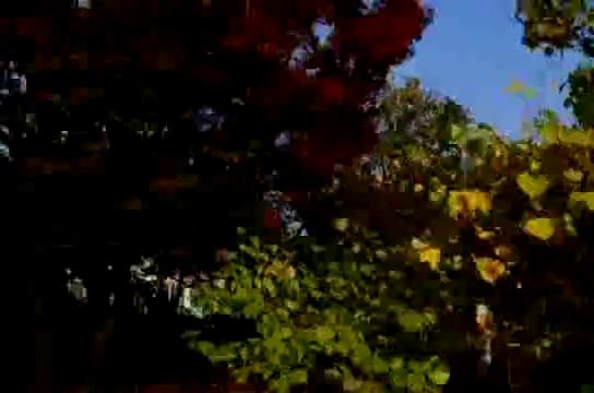 카지노싸이트 ★ ＷＯＷ７７８．ＣㅇＭ ★ 카지노 싸이트 동영상
