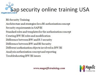 sap security online training malaysia