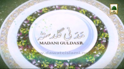Islamic Information 316 - Maiyat Ko Dekh Kar Ibrat Hasil Karo - Ameer-e-Ahle Sunnat Maulana Ilyas Qadri.