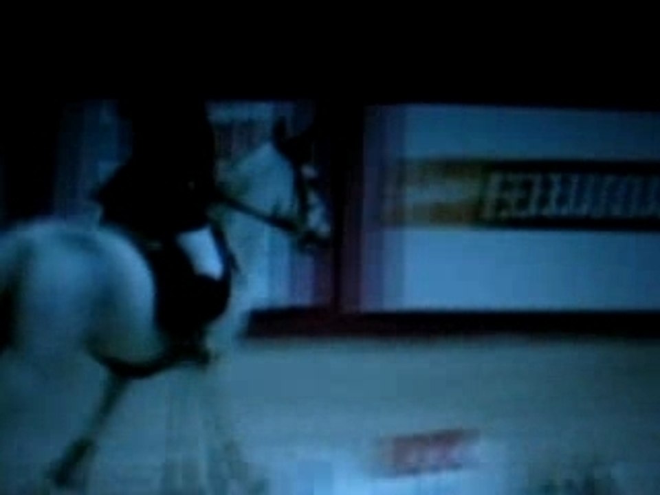 Héros Equita Lyon D1E 1ère partie