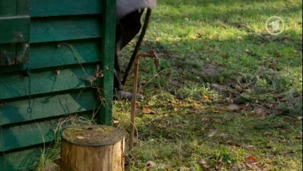 Folge 4515 Kim + Ansgar