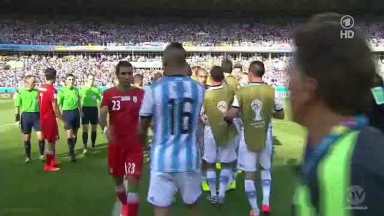 Persian Lions