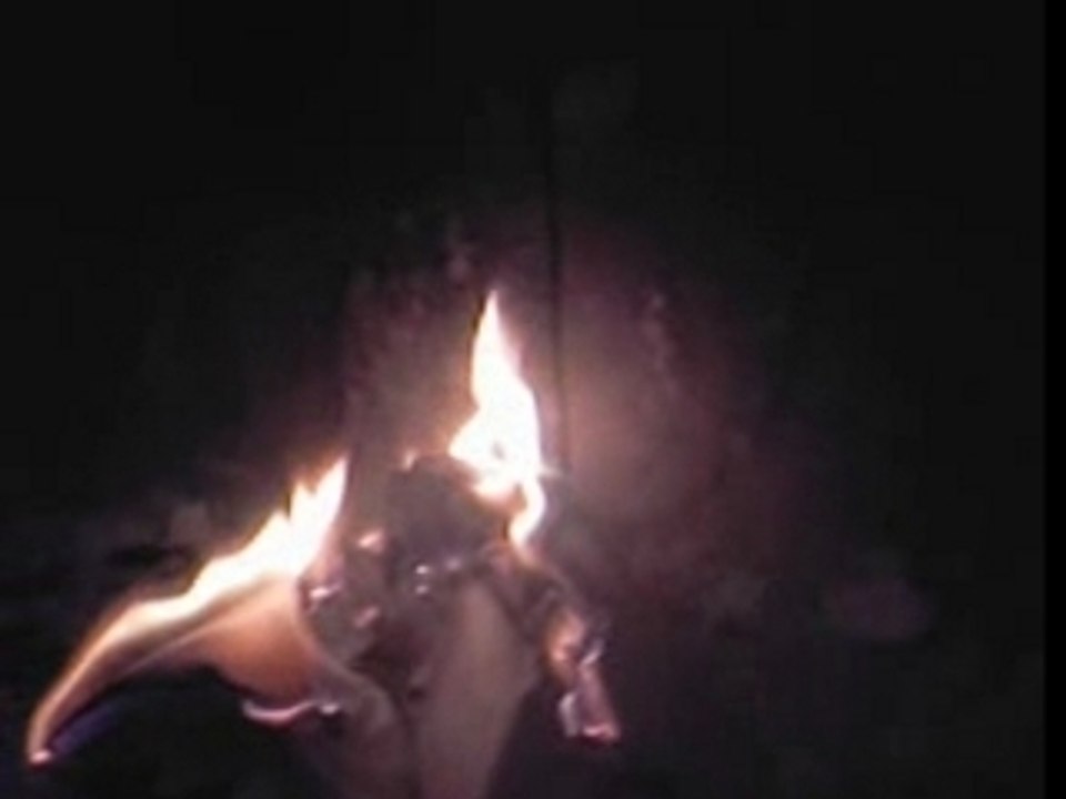 DU PAPIER BRULE DANS LA CHEMINEE