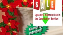 Best Deals Cordless Lighted Poinsettia Garland Review