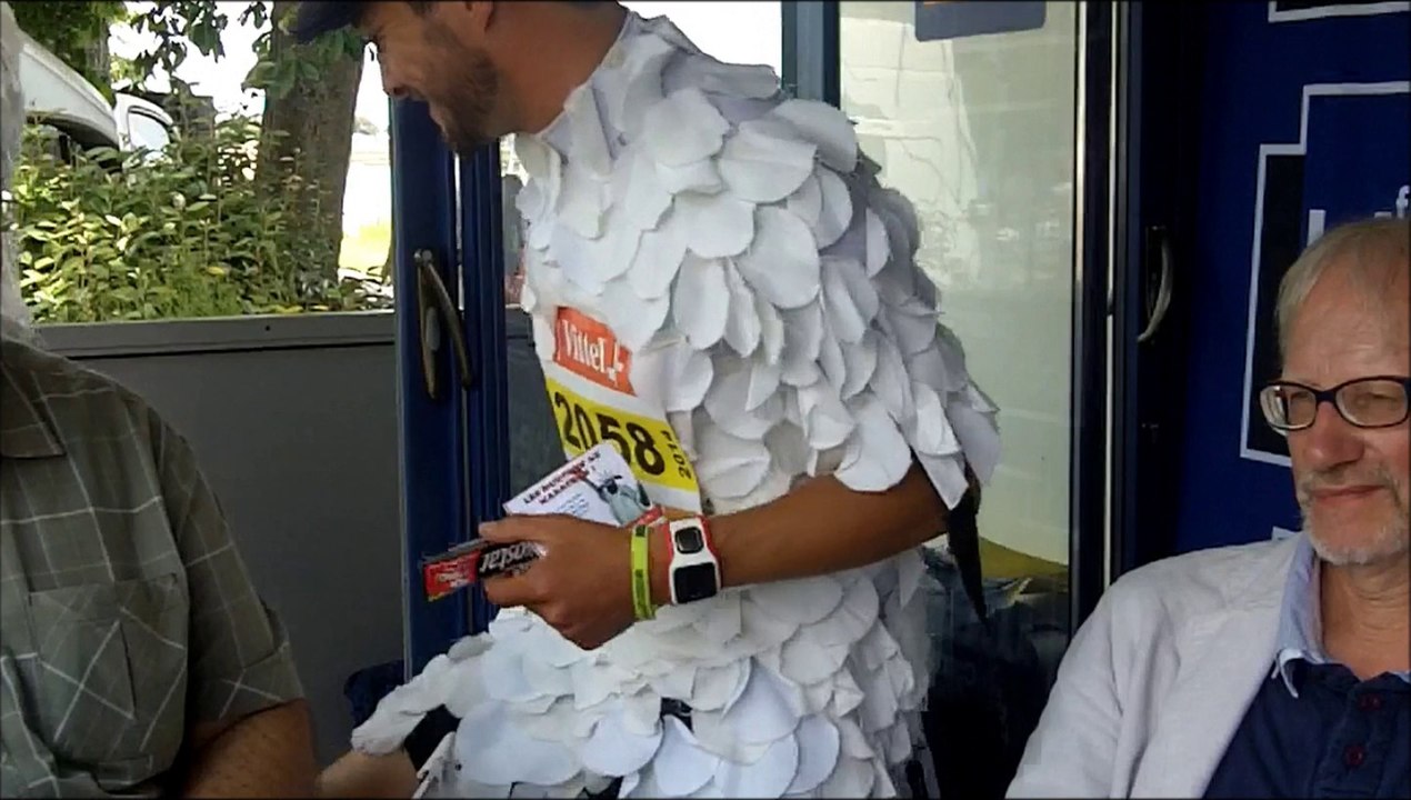 Les moutons qui courent lors de la Transbaie 2014