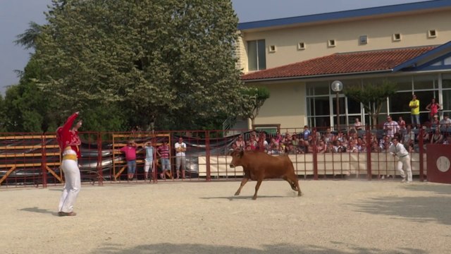 Dimanche 22 juin 2014: course landaise à Préchacq les bains, un écart du Préchacquois Cédric Desclaux