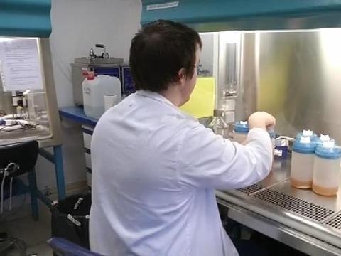 Marseille: un laboratoire met au point un biocarburant à base de champignons - 23/06