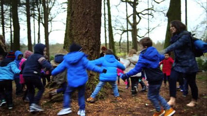 İrlanda Çevre Bakanlığının çektiği Tepki toplayan reklam filmi!