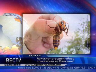 TV SPEKTRA VESTI 23.06