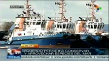 Chile firmará acuerdo que le permita conservar especies marinas