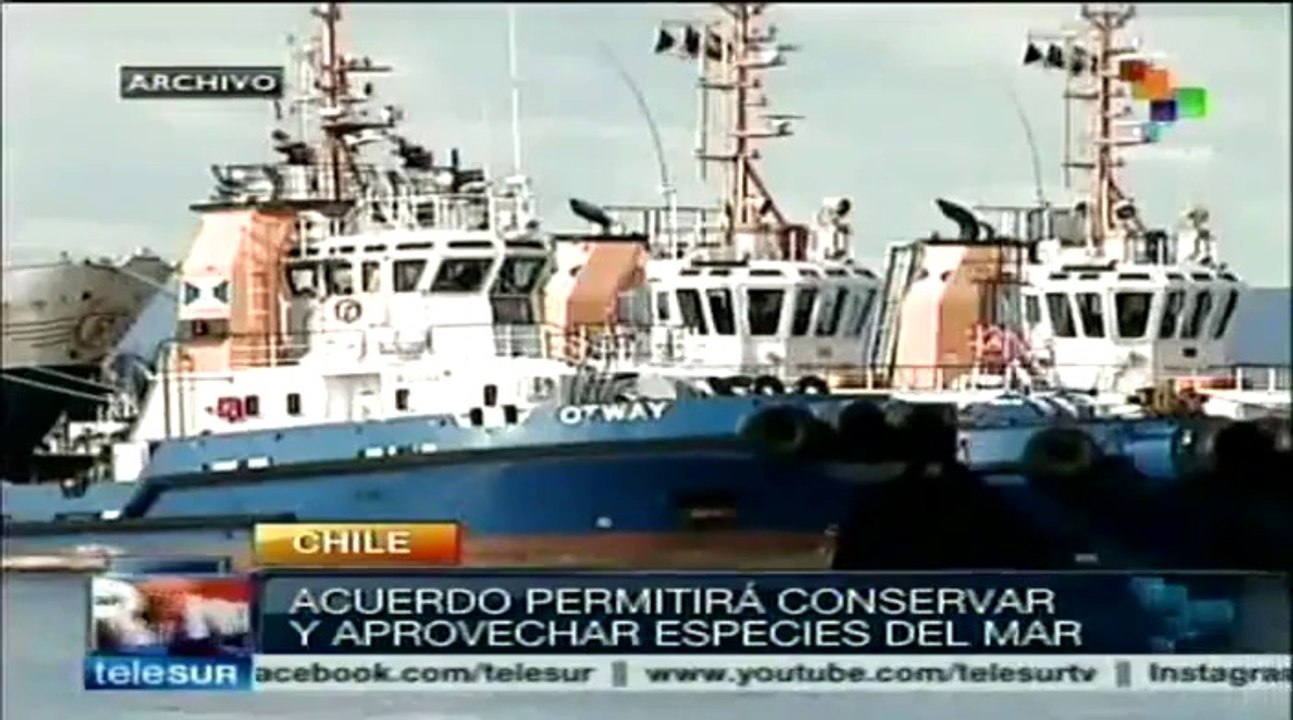 Chile firmará acuerdo que le permita conservar especies marinas