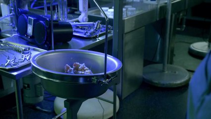 The Strain: Inside the Story of The Strain