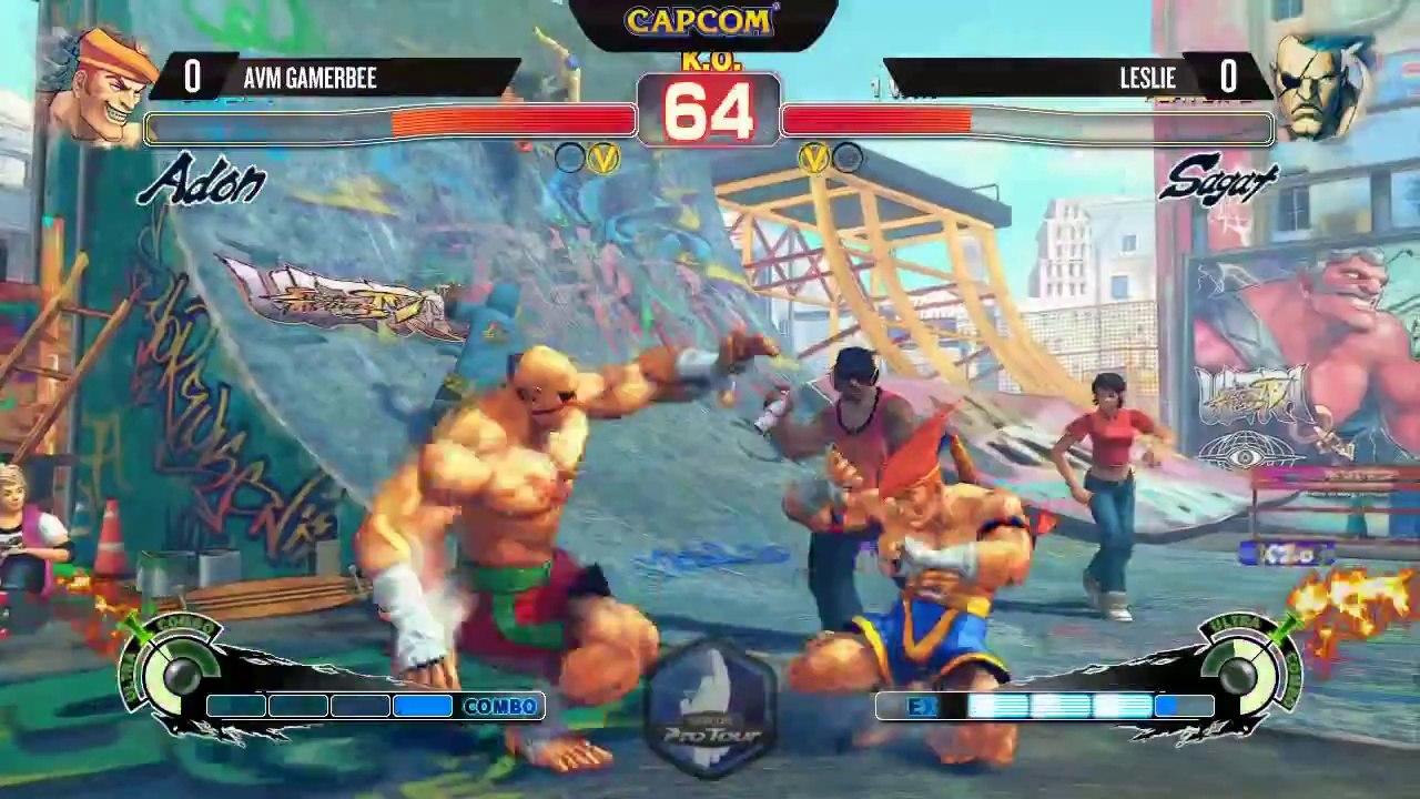USFIV:  AVM Gamerbee vs Leslie - SEAM2014 - Capcom Pro Tour Top 16