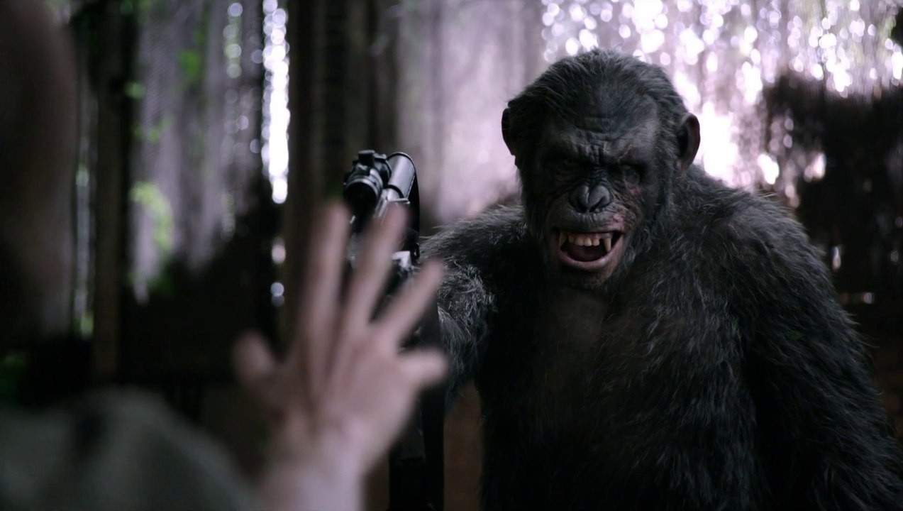 La Planète des Singes : L'Affrontement - Extrait Koba [VOST|HD1080p]
