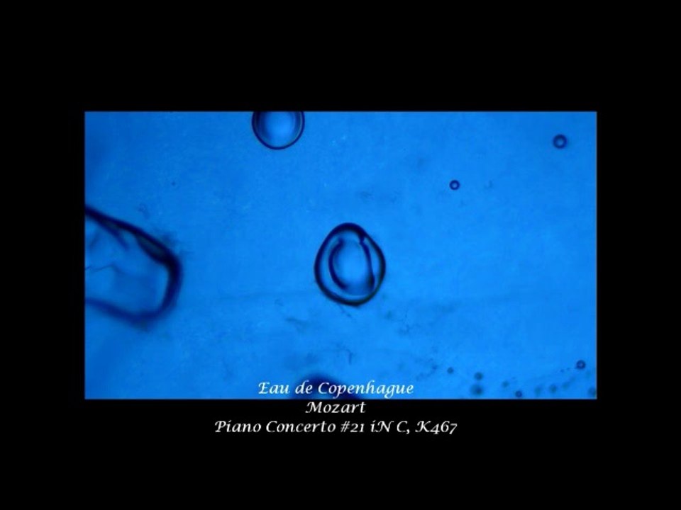 Observation de l'eau au microscope optique en écoutant de la musique