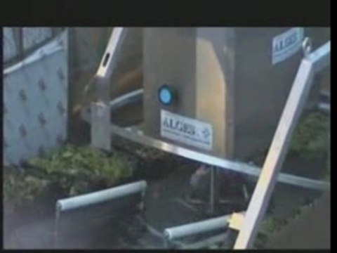 Lava ortaggi omia tel 0883331038