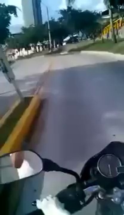 Dog riding a Motorcycle