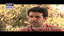 Zindagi Dhoop Tum Ghan Saya Ep 14_(new)