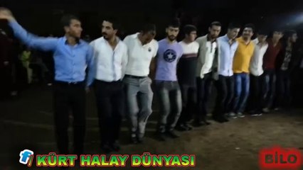 Download Video: BİTLİS AHLAT HALAYLARI YAVUZUN DÜĞÜNÜ