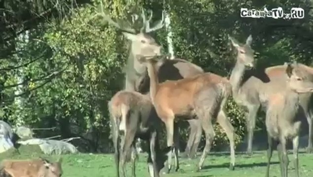 +100500 Эпизод №124 - Вдул