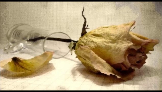 ZaRa & Ahmet SeLçuk İLkan - HatırLarmısın...