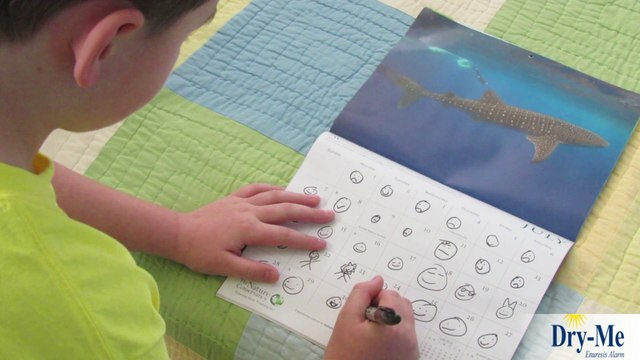 How Bedwetting Alarms Work