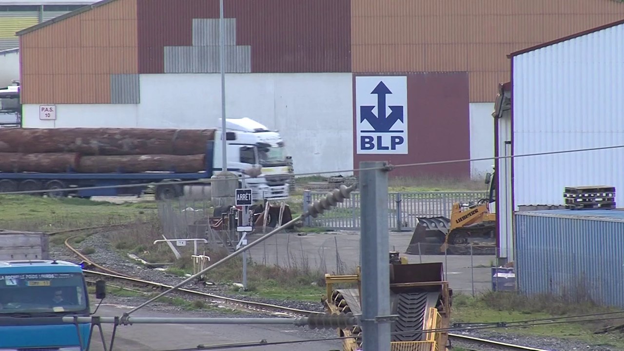 Célà tv Le JT - Greenpeace bloque un cargo à La Pallice