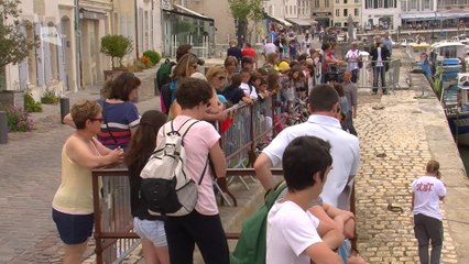 Célà tv Le JT - 3000 homards relâchés au large de l'île de Ré