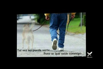 EL PERRO URBANO en Vorterix - Tema: Cuando el perro familiar ... ya no está.