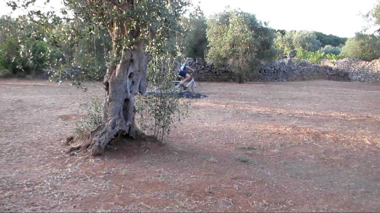 UN MASTINO NAPOLETANO DA TIRO: POWERED BY CANISPUGNAXINAPULIA