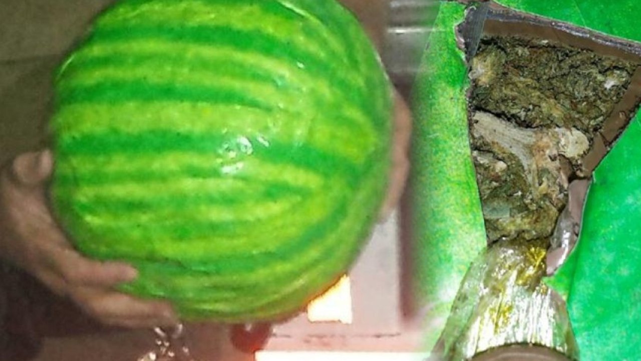 Cartel Stuffs Pot in Fake Watermelons, Fools No One