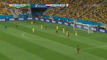 هدف الكاميرون الاول فى البرازيل - كاس العالم 2014