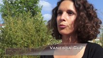 Interview de Vanessa Clément aux Clayes du Cinéma 2014