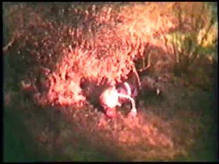 BR & Junior - episode one: Enter the superagents, exit R.E.B.E.L