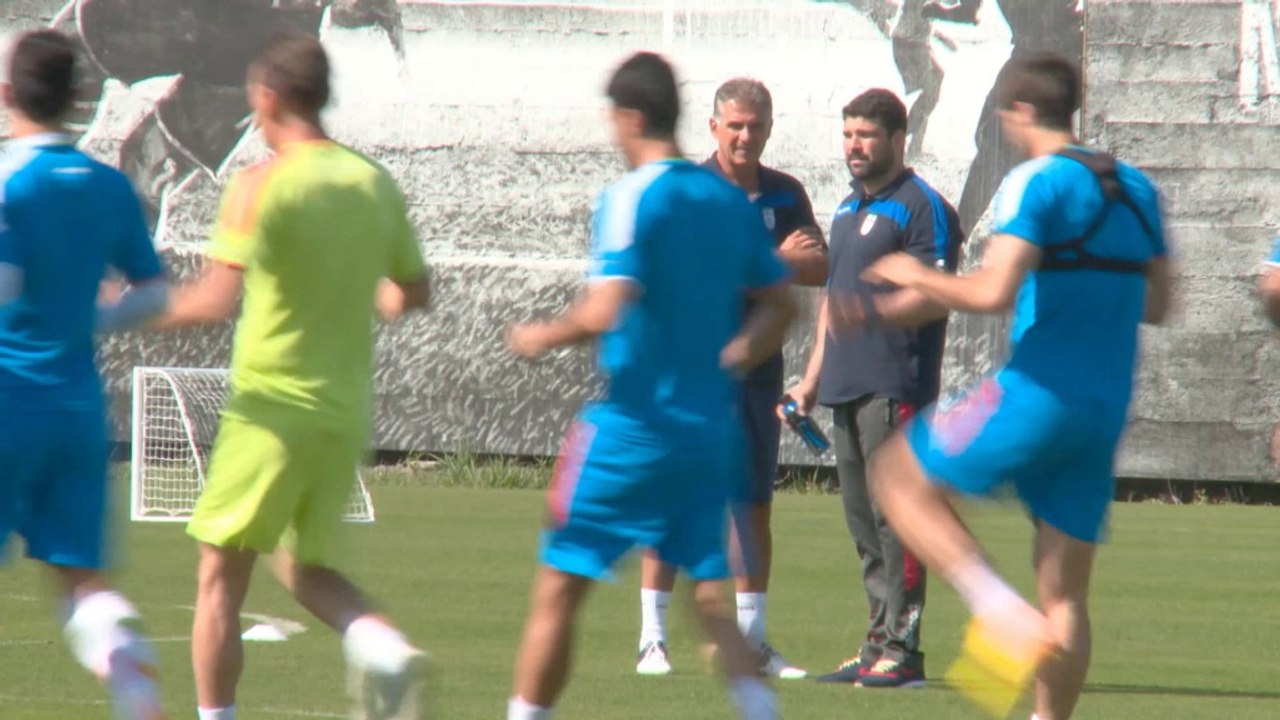 WM 2014: Ibisevic: 'Gegen uns hochmotiviert'