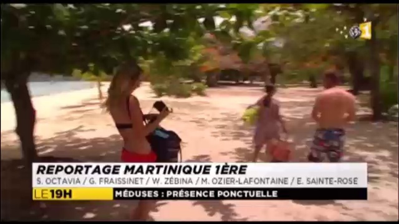 Méduses