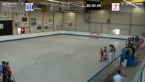 Finales championnat de France de rink Hockey U11 2013/2014 - SCRA Saint Omer / Nantes ARH