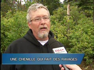 23 Juin 2014 - Le TVA Nouvelles de 18h Abitibi-Témiscamingue