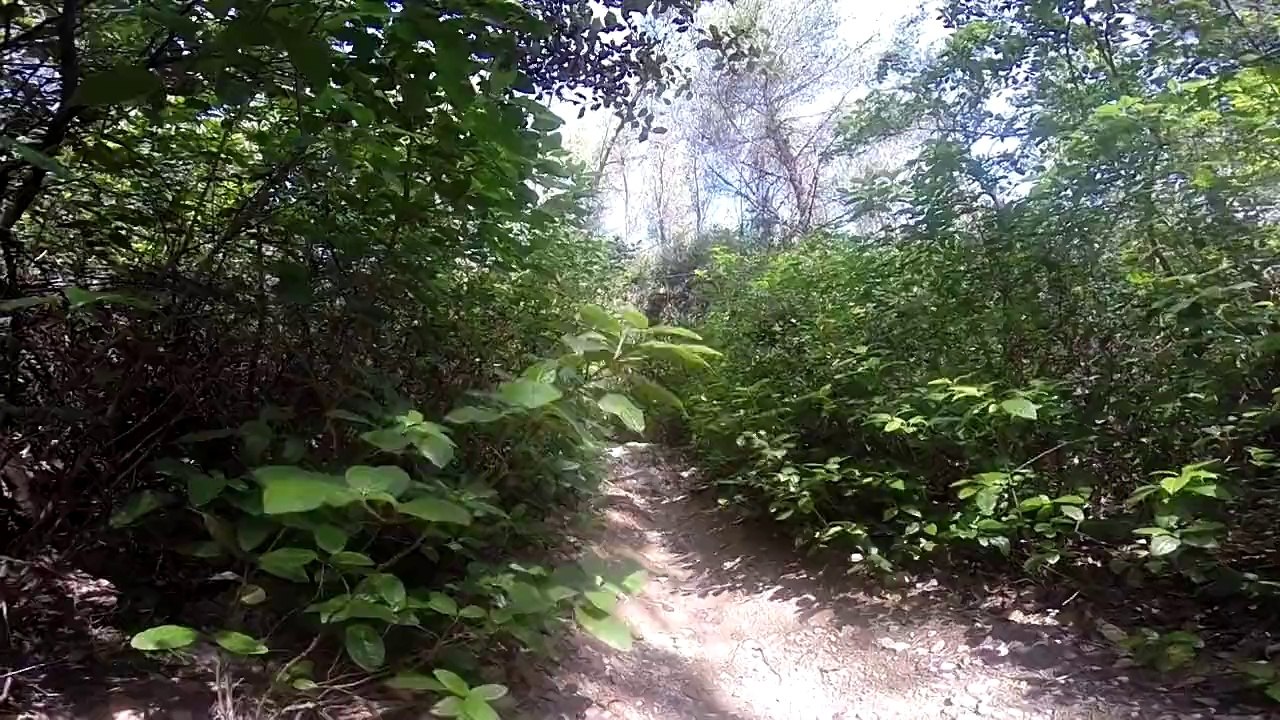 vtt var Cro'rois Team sur le coudon