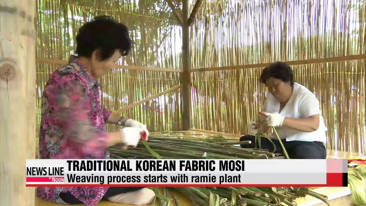 Traditional Korean fabric Mosi or fine-ramie fabric weaving skills in spotlight