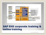 SAP EHS corporate training and online training