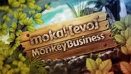 Starter Logo Animation in Video format for Monkey Business