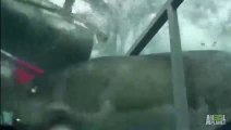 Absolutely massive great white shark wedges itself into a dive cage