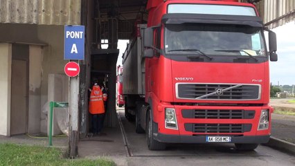 Maisica - Escales Marines 2014